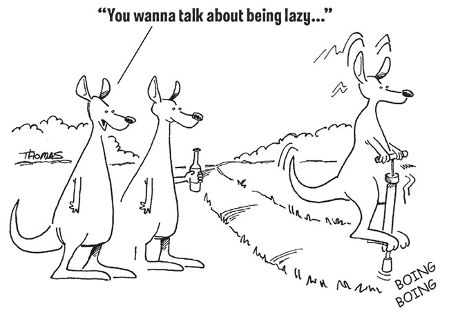 Kangaroo jokes – Jokes by Scout Life